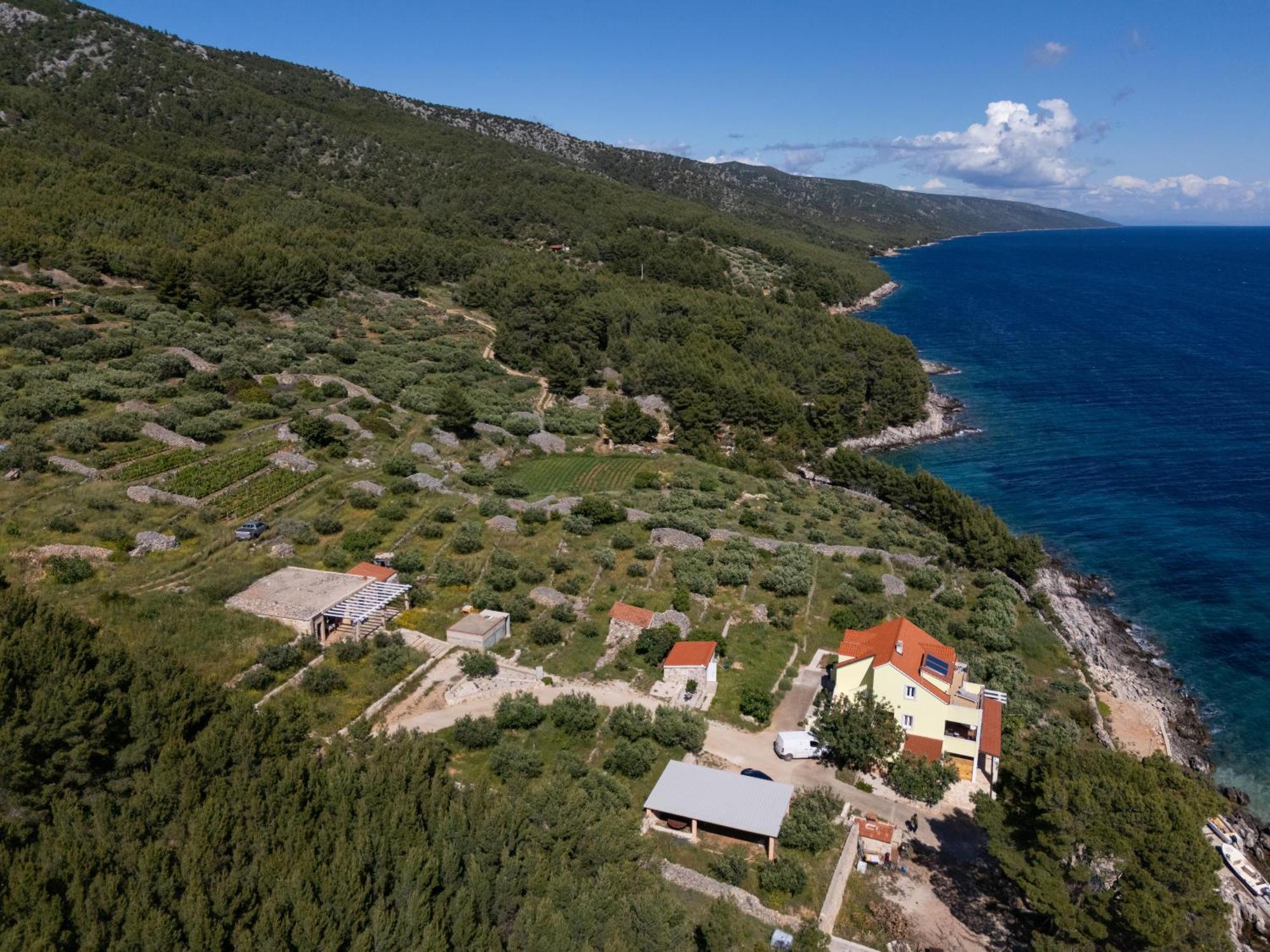 Villa Marin - 4 Apartments Zavala Esterno foto
